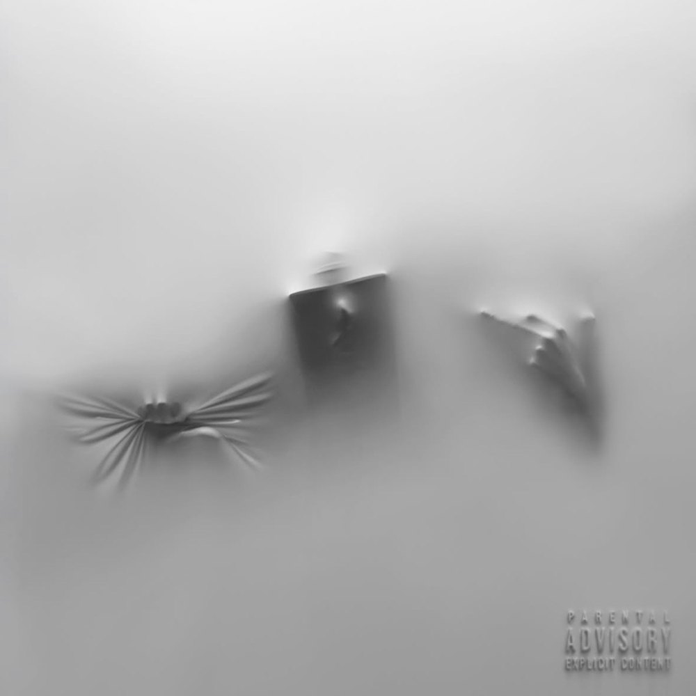 COCOON cover